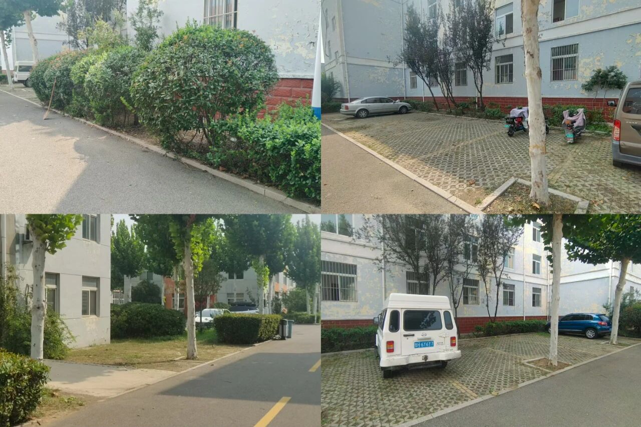 【鲁南电商】共建美丽园区，我们在行动！1